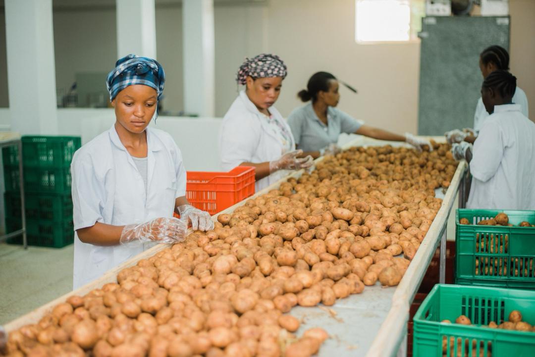 AgriFI Ups its Investment in Tanzanian business East Africa Foods Ltd